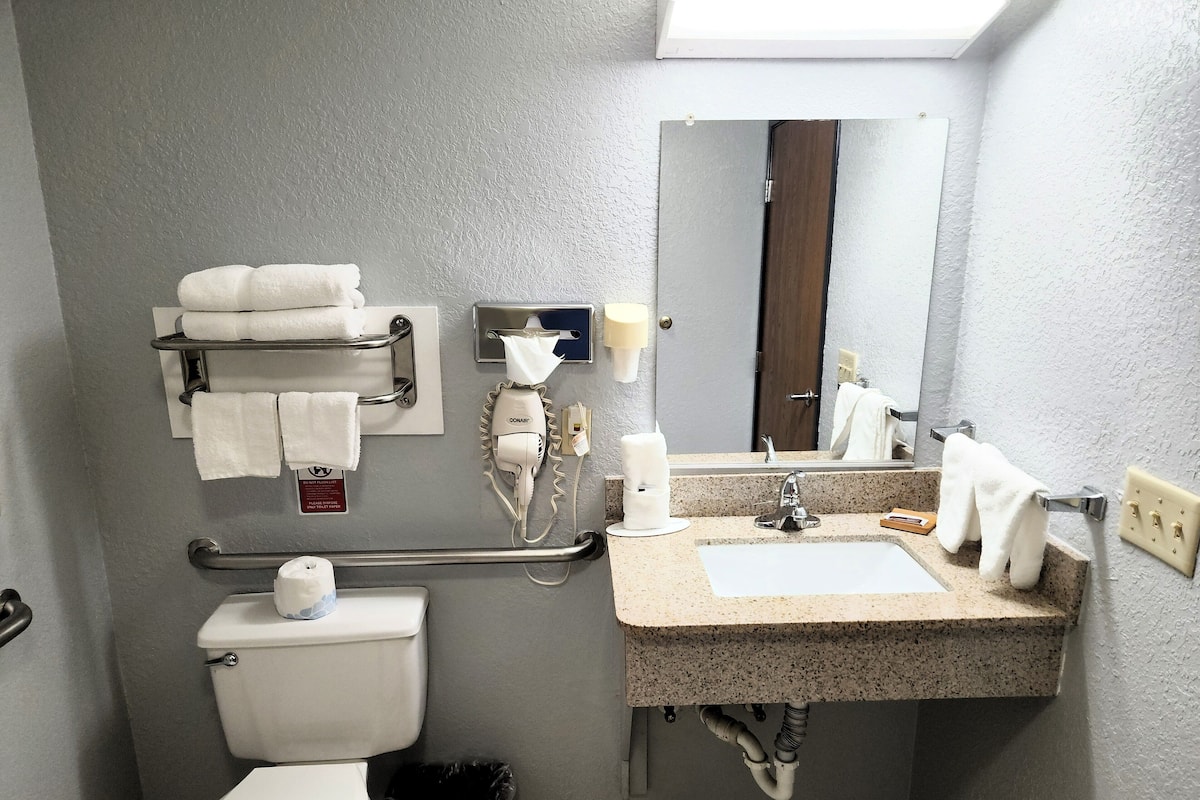 Premium Room, 1 King Bed, Accessible, Non Smoking | Bathroom | Combined shower/tub, hydromassage showerhead, free toiletries