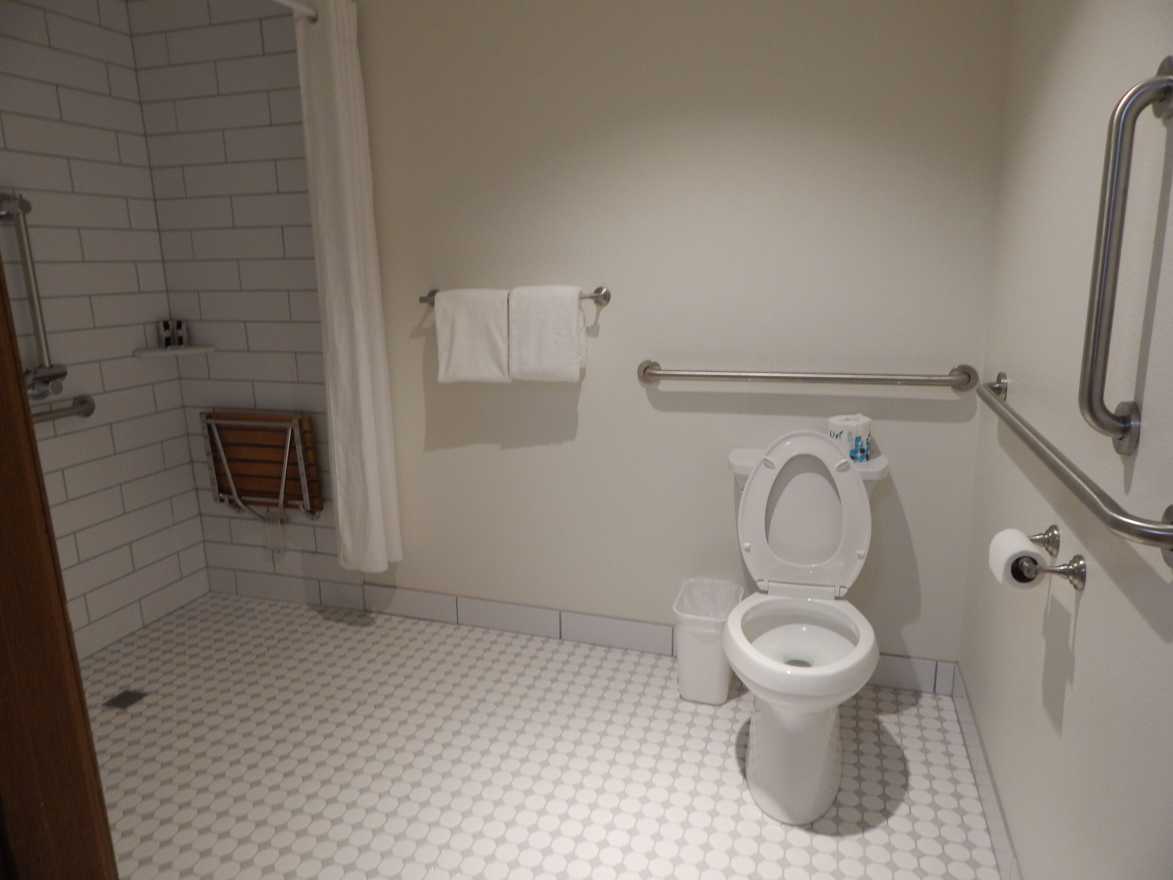 A bathroom with a white toilet, a shower area, and a grab bar.