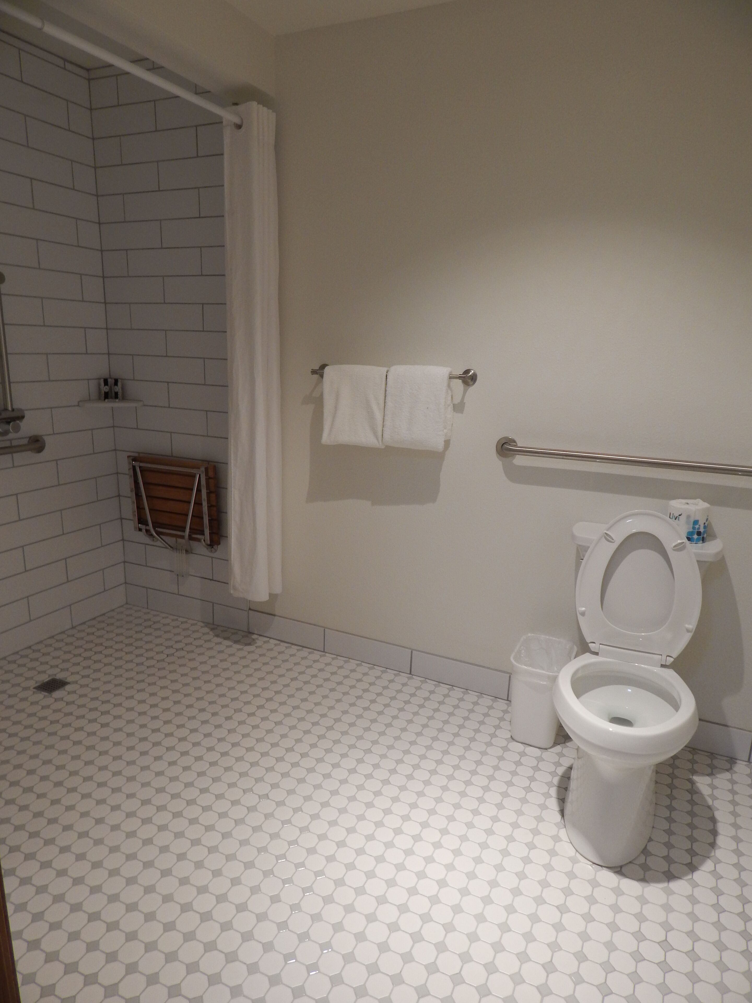 Ein Badezimmer mit Toilette, Dusche und Handtuchhalter.
