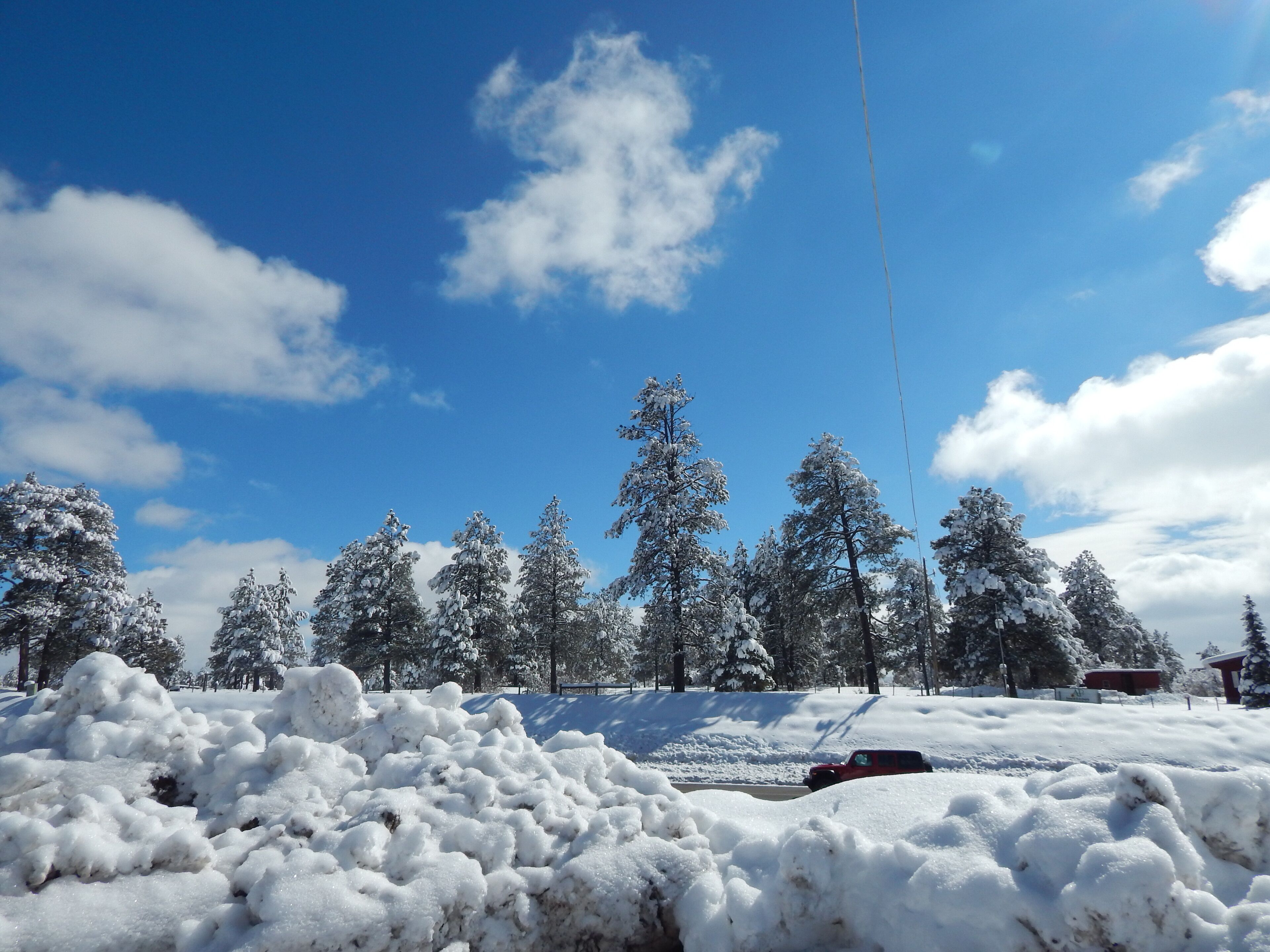 Paisaje nevado con árboles cubiertos de nieve y un cielo azul despejado.