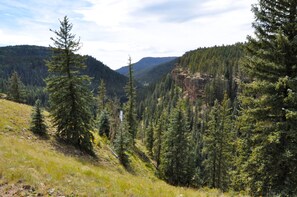 Hiking