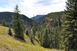 Hiking