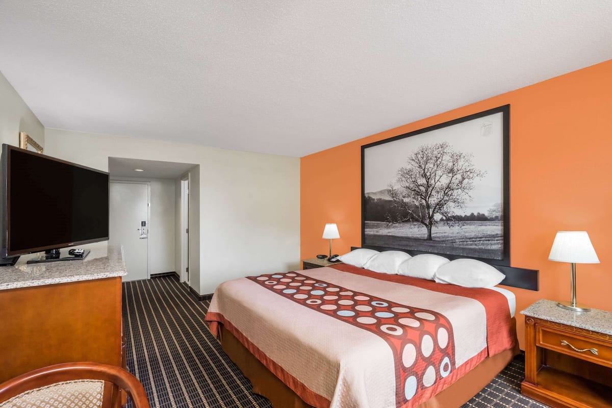 Een hotelkamer met een bed, een bureau met televisie, een nachtkastje met lamp en een lijst aan de muur.