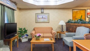 A hotel room with a television, sofa, armchair, and a small table with a vase of flowers.