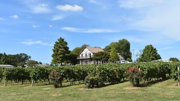 Winery