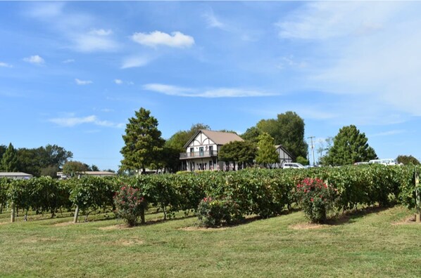 Winery - Econo Lodge & Suites Clarksville near Governors Square Mall (Clarksville)