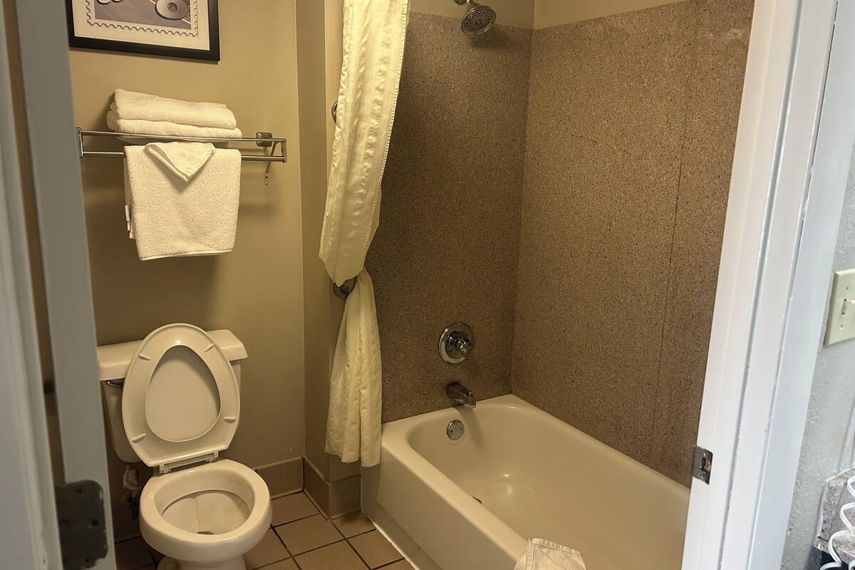 combined shower/bathtub, free toiletries, hair dryer, towels