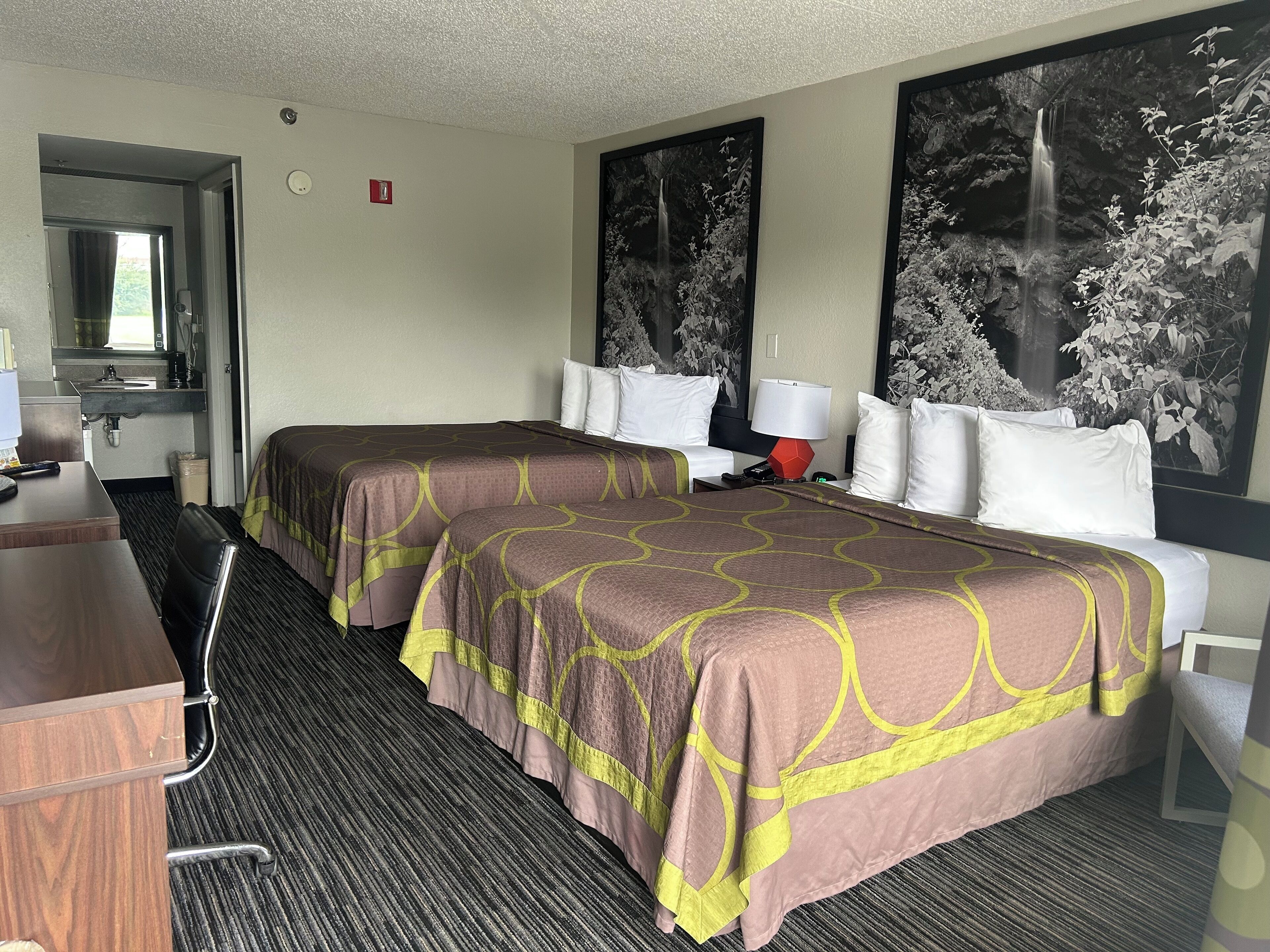 Une chambre d’hôtel avec deux lits, un bureau, une chaise, un lavabo et deux grandes œuvres d’art murales aux motifs naturalistes en noir et blanc.