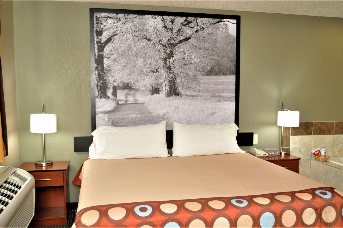 premier studio suite, 1 king bed, non smoking (pet-friendly) | desk, iron/ironing board, free cots/infant beds, free wifi