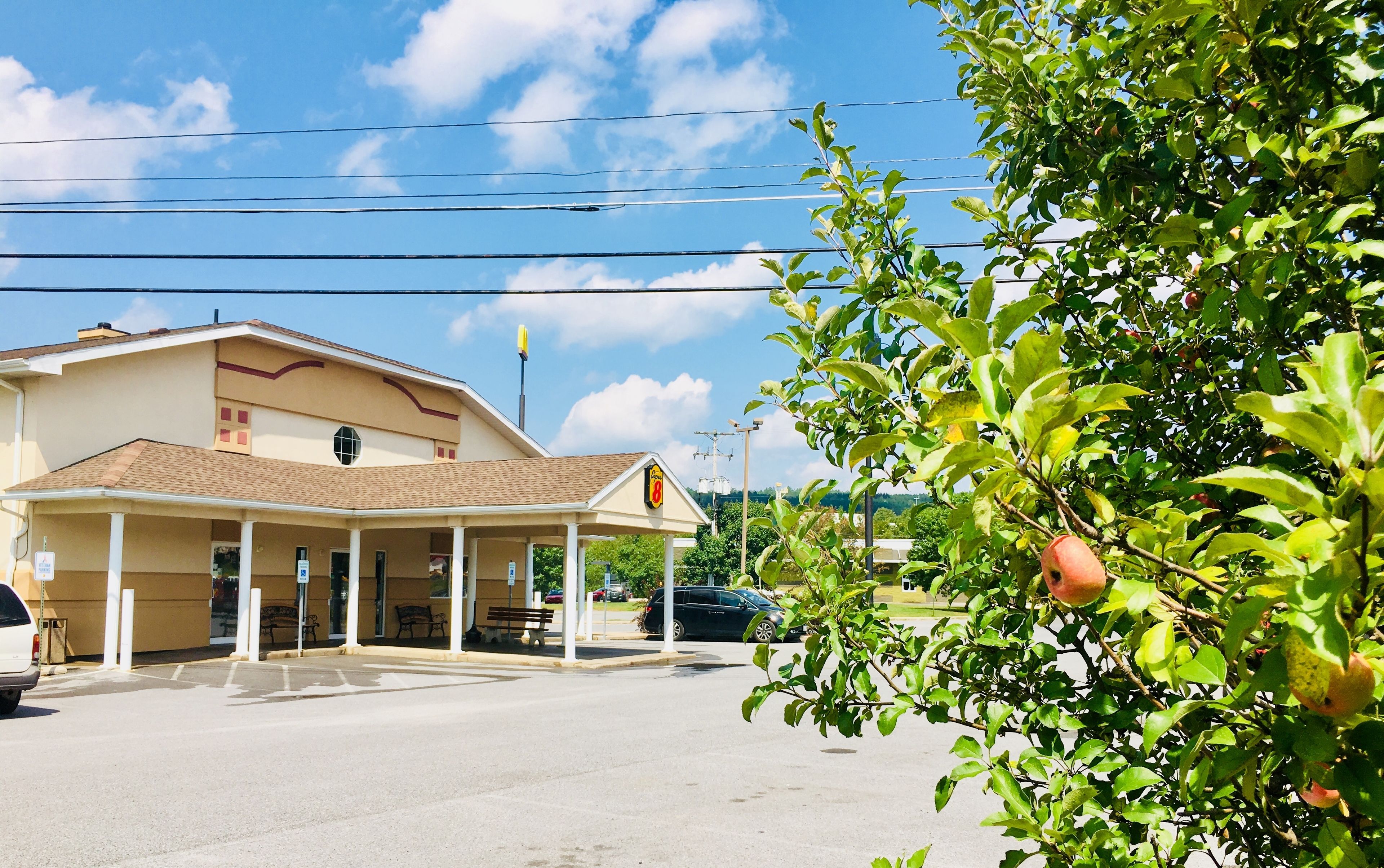 A building with a covered entrance, a parking lot, and a tree with fruit.