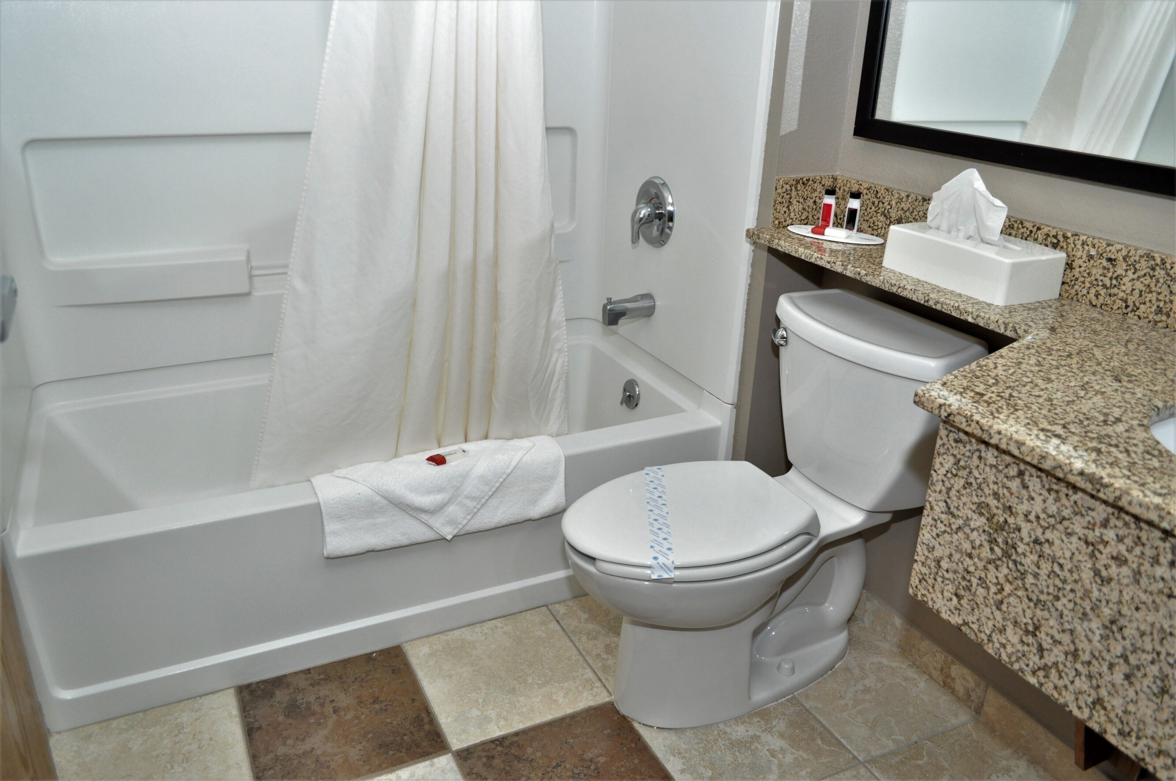 A bathroom with a bathtub, toilet, and a vanity with a mirror.
