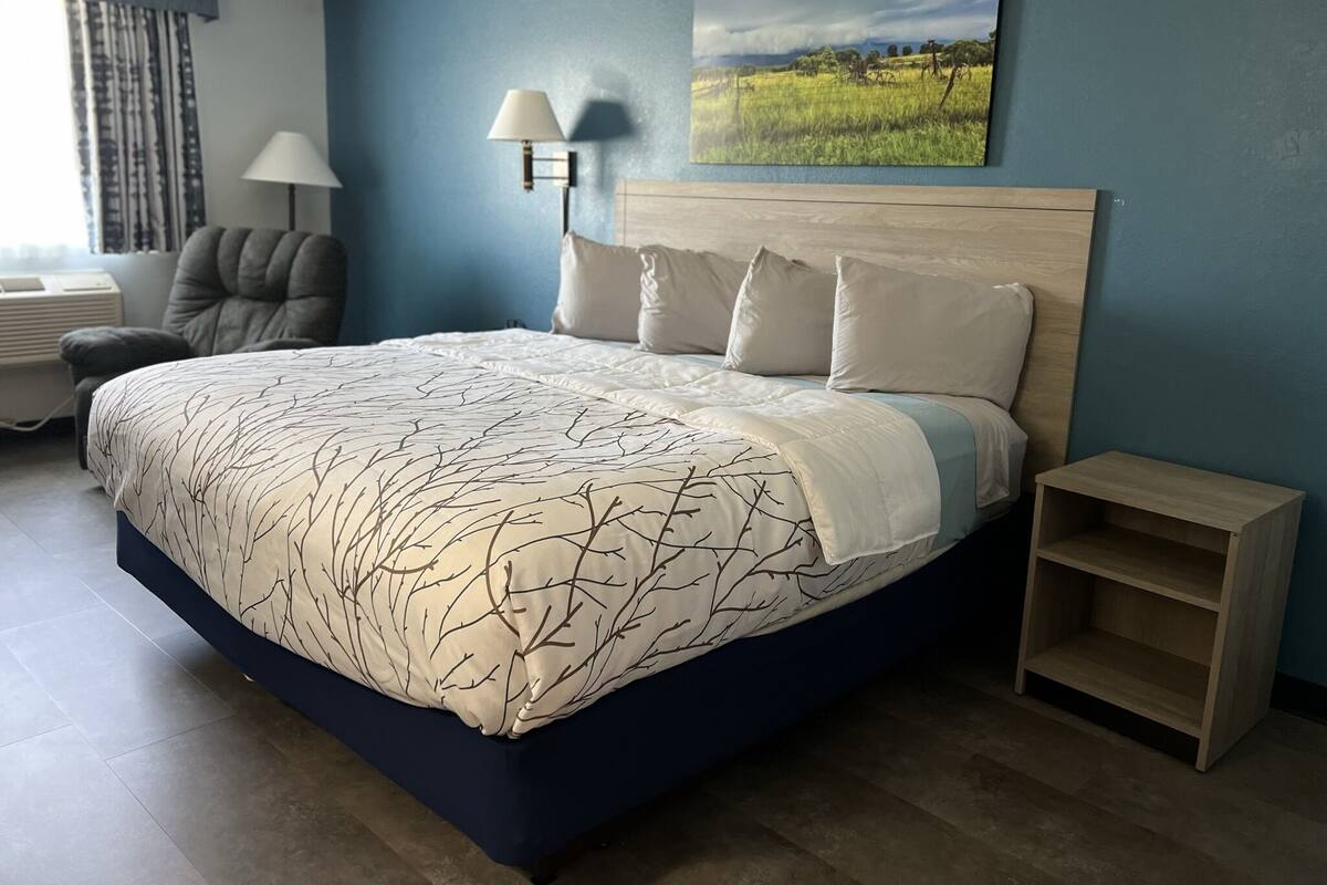 A bedroom with a bed, a chair, a nightstand, and a wall-mounted lamp.