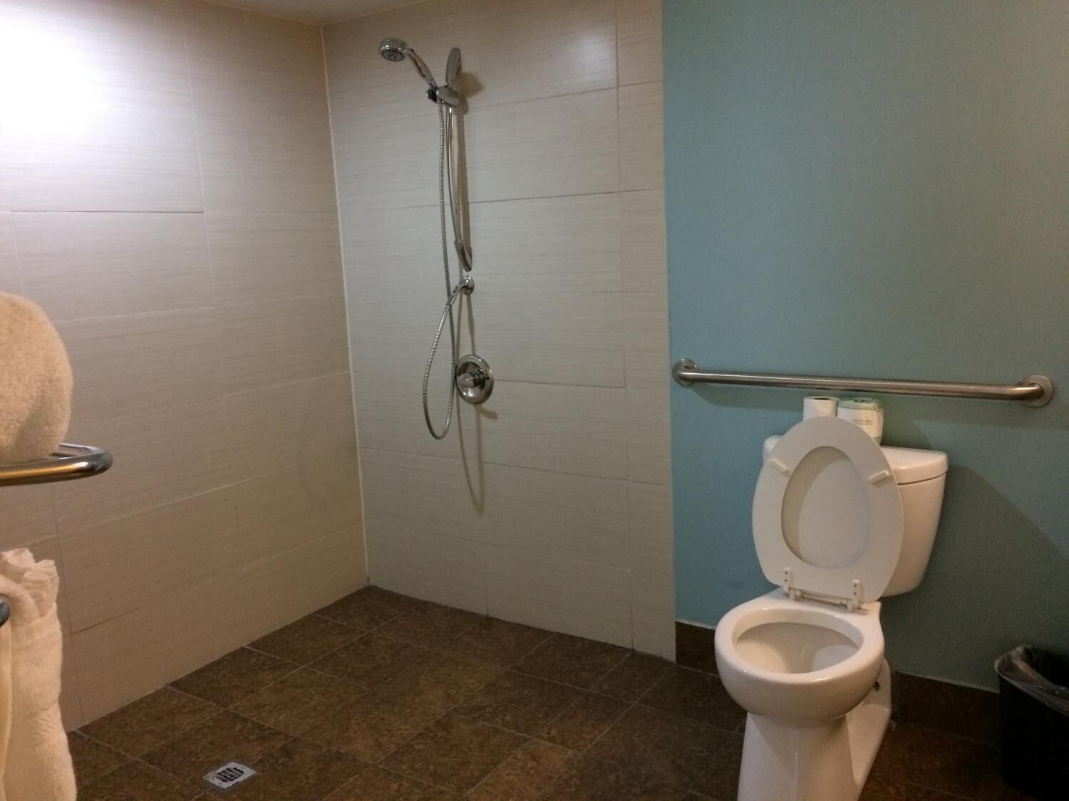 combined shower/bathtub, towels