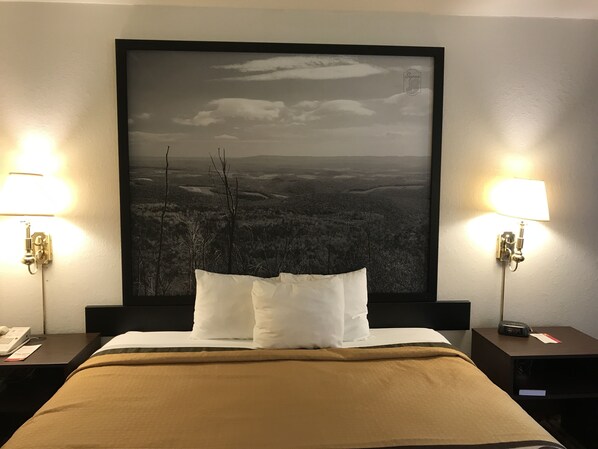 Escritorio, wifi gratis, ropa de cama y despertador 