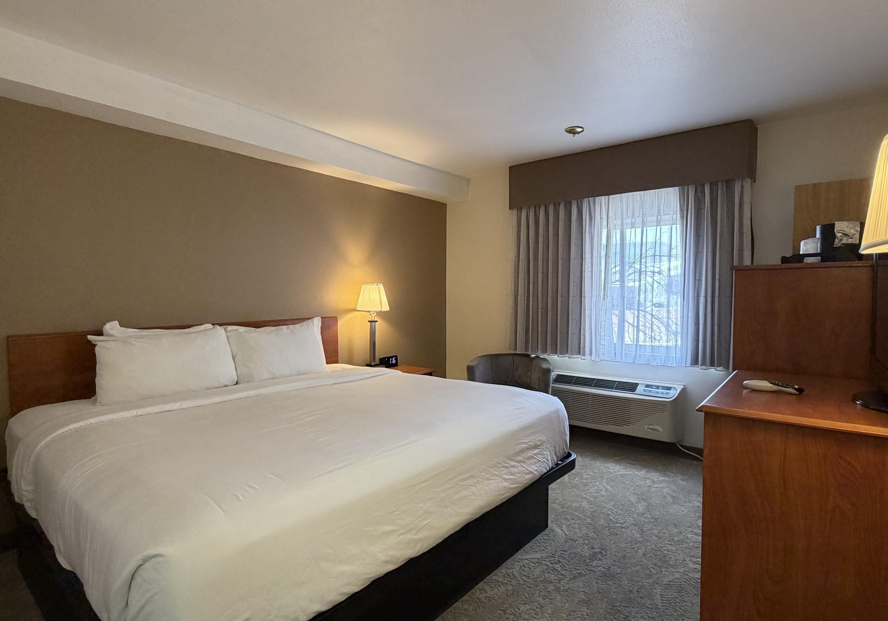 Standard Room, 1 King Bed, Non Smoking | Individually furnished, desk, laptop workspace, iron/ironing board