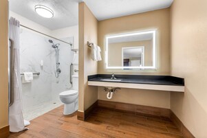 Un baño con ducha, inodoro y tocador con espejo.