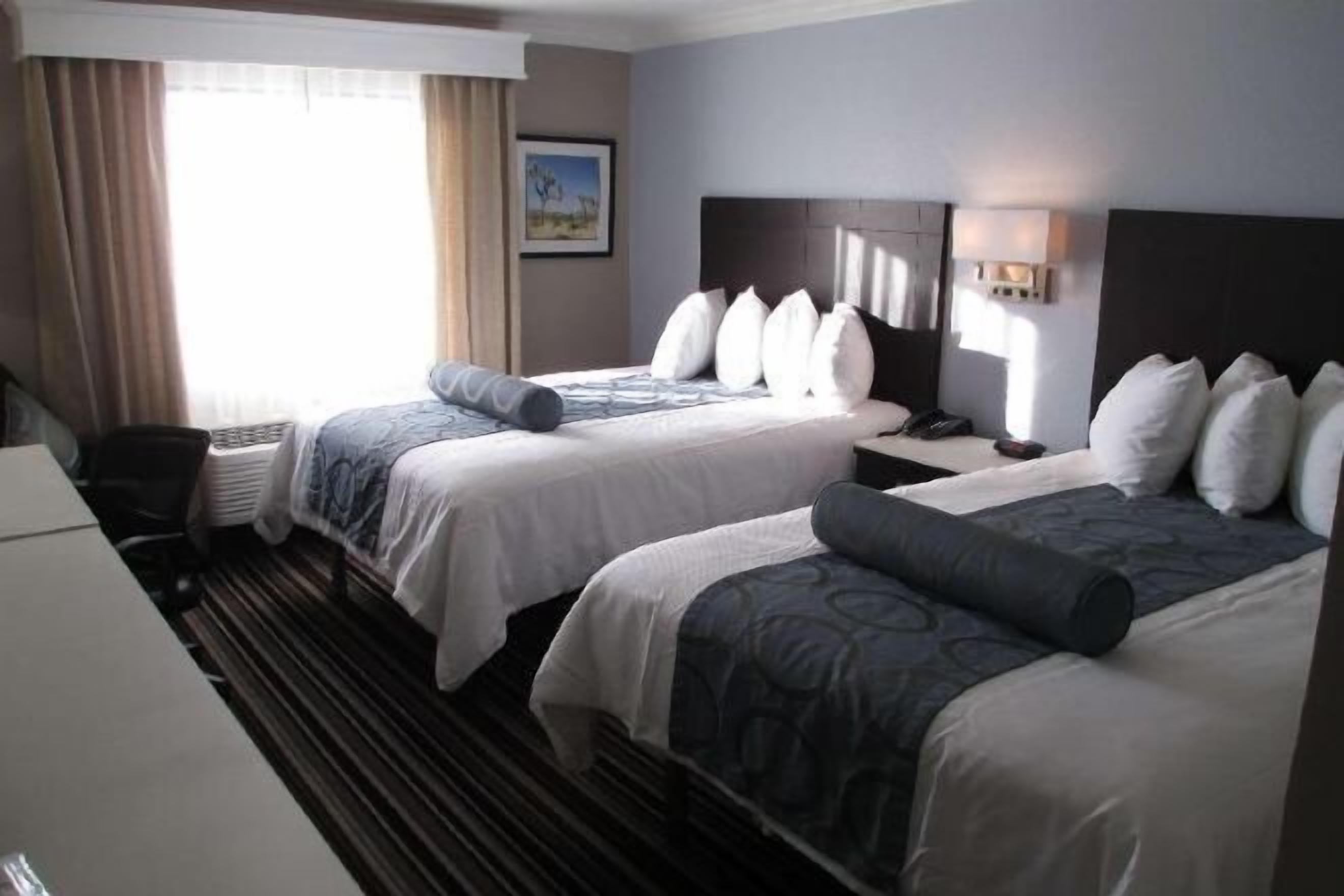 Iron/ironing board, free cots/infant beds, free WiFi, bed sheets