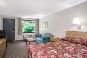 Iron/ironing board, cribs (free), rollaway beds (surcharge), WiFi (free)