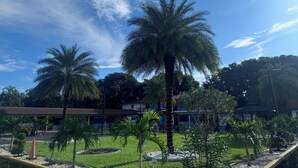 A well-maintained garden with palm trees, a grassy lawn, and a building with a tiled roof. - Econo Lodge Inn & Suites Florida City (Florida City)