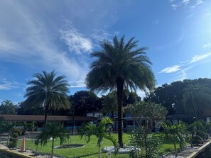 Jardin