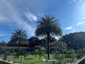 Jardin