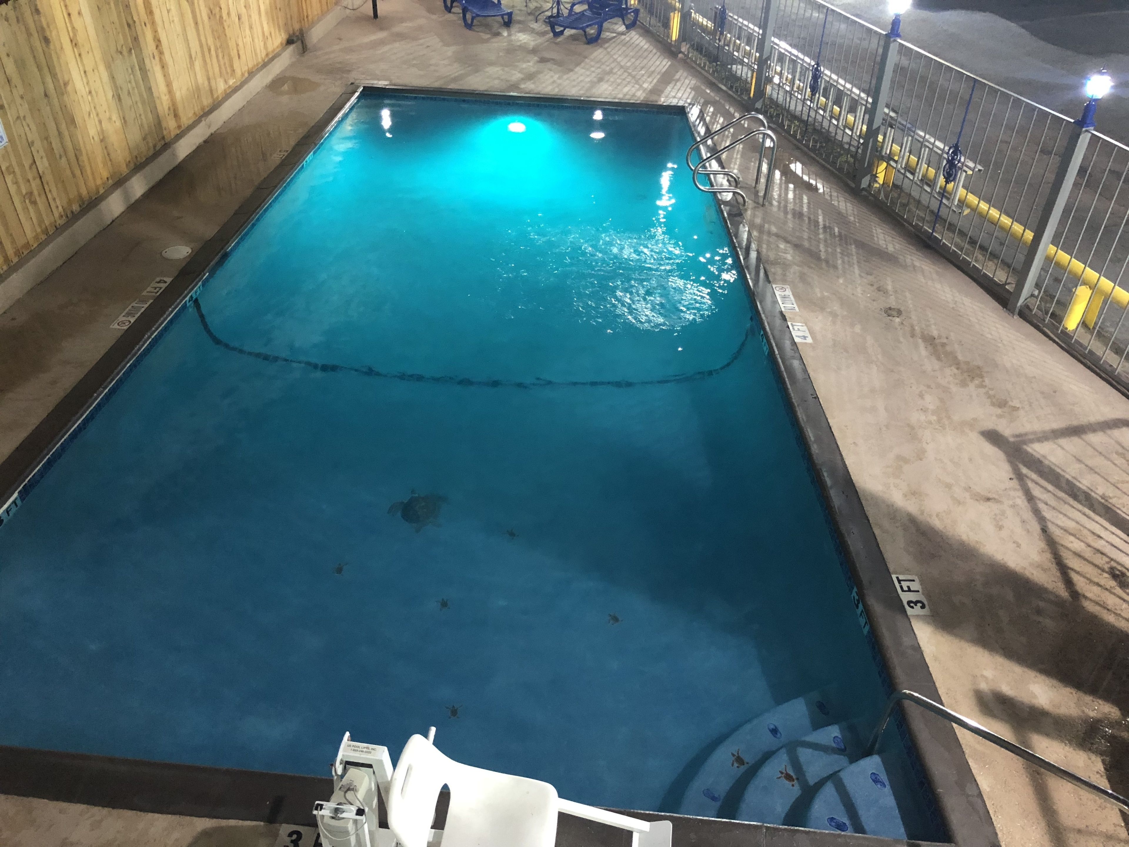 Photo - Super 8 by Wyndham San Antonio Pearl District Downtown