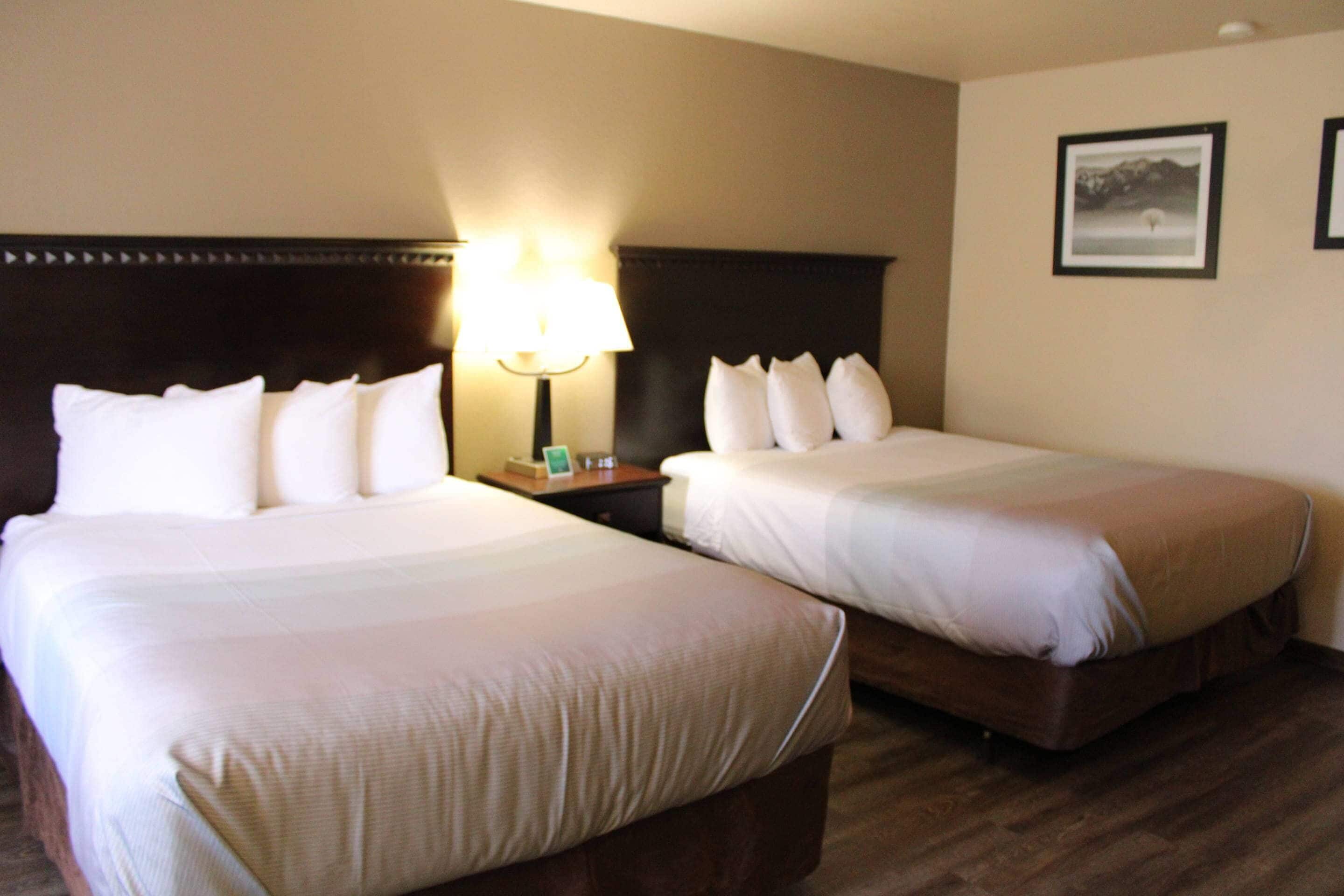 A hotel room with two beds, a nightstand with a lamp, and framed pictures on the wall.