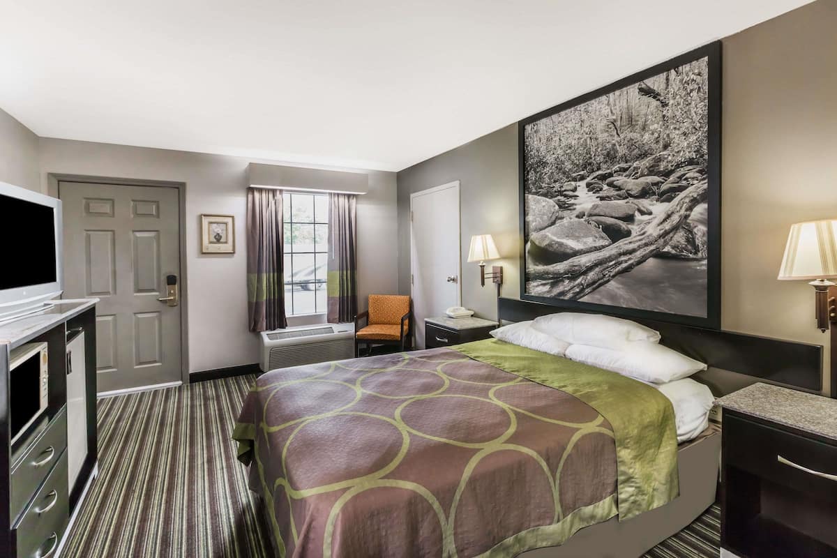 Een hotelkamer met een bed, een bureau, een stoel, een televisie en een groot ingelijst schilderij aan de muur.
