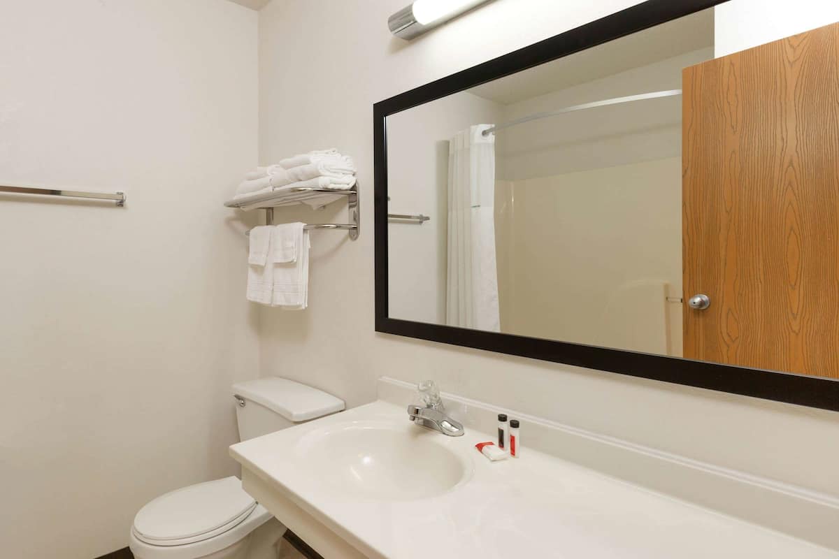 Bathroom | Combined shower/tub, free toiletries, hair dryer, towels