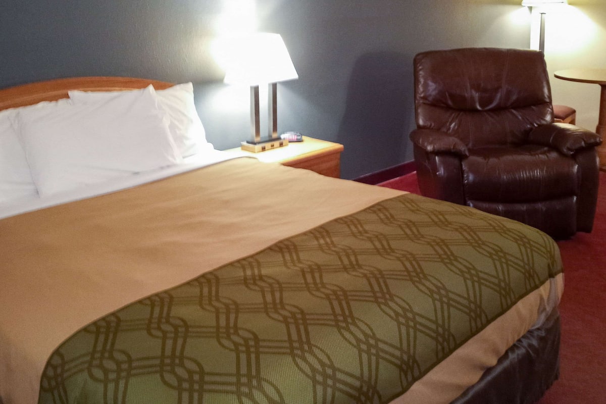 Una habitación de hotel con una cama, un sillón de cuero marrón, una mesita de noche con lámpara y una alfombra roja.