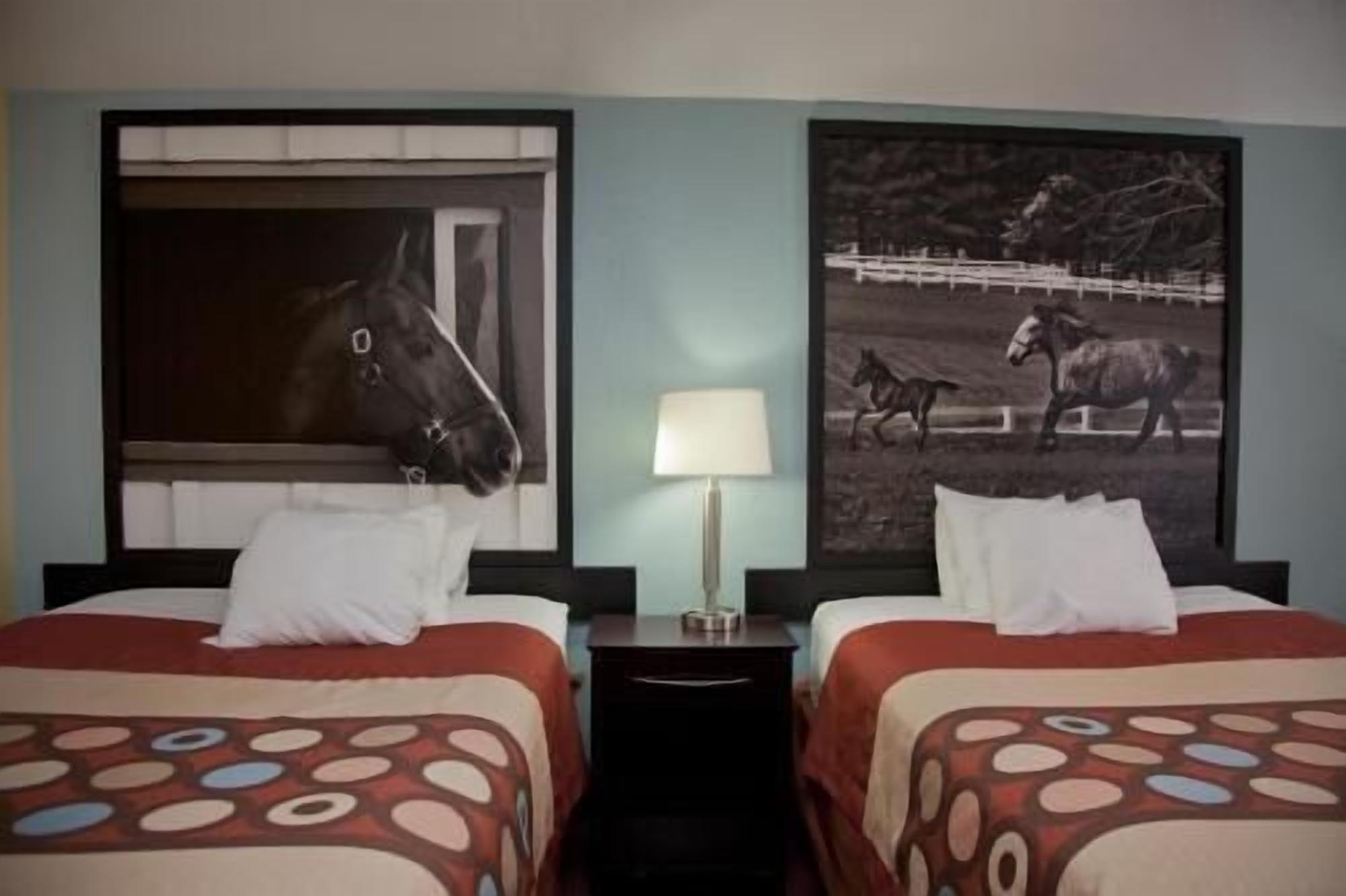 Escritorio, cortinas blackout y tabla de planchar con plancha 