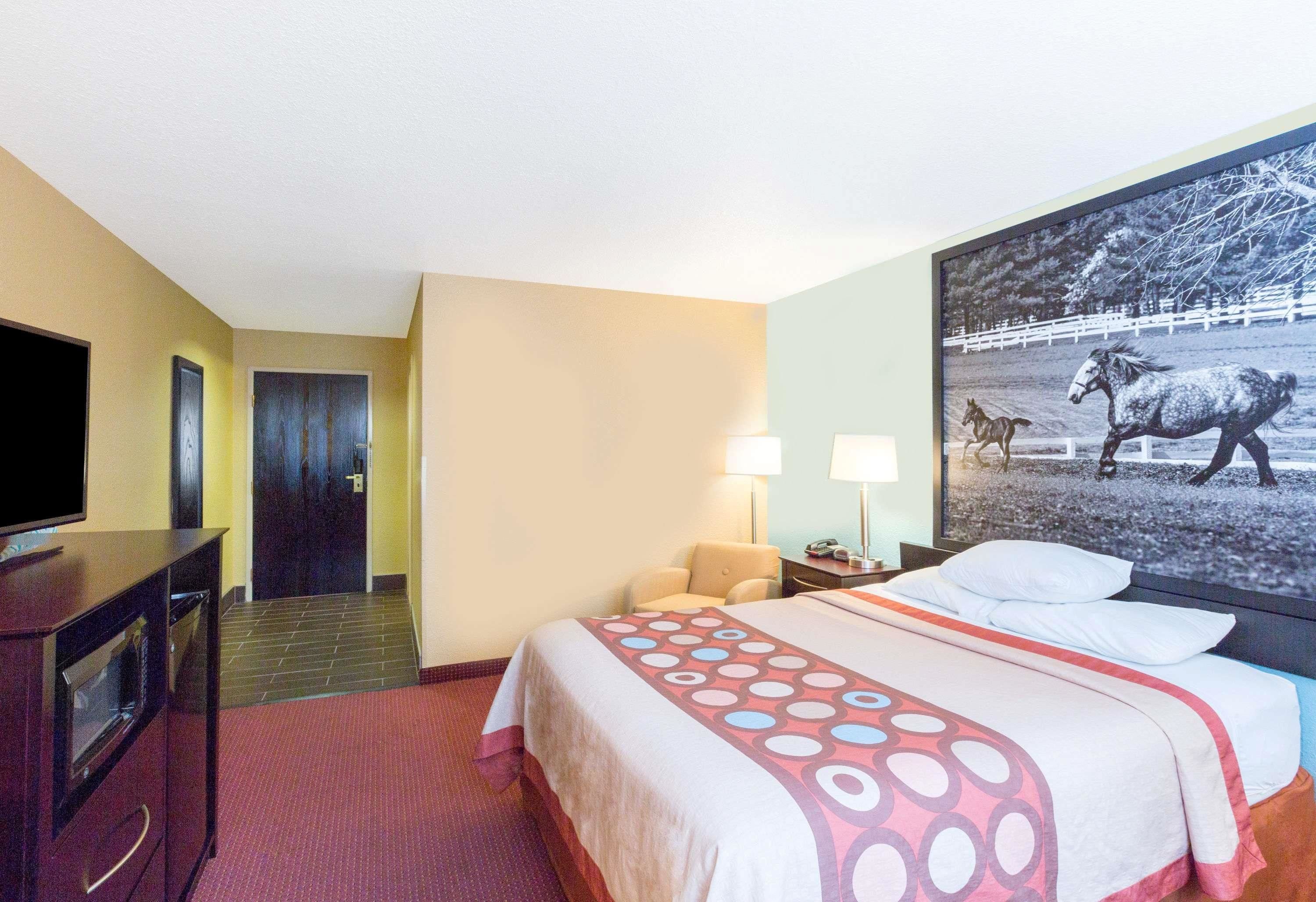 Une chambre d’hôtel avec un lit, une télévision, un bureau et une porte.