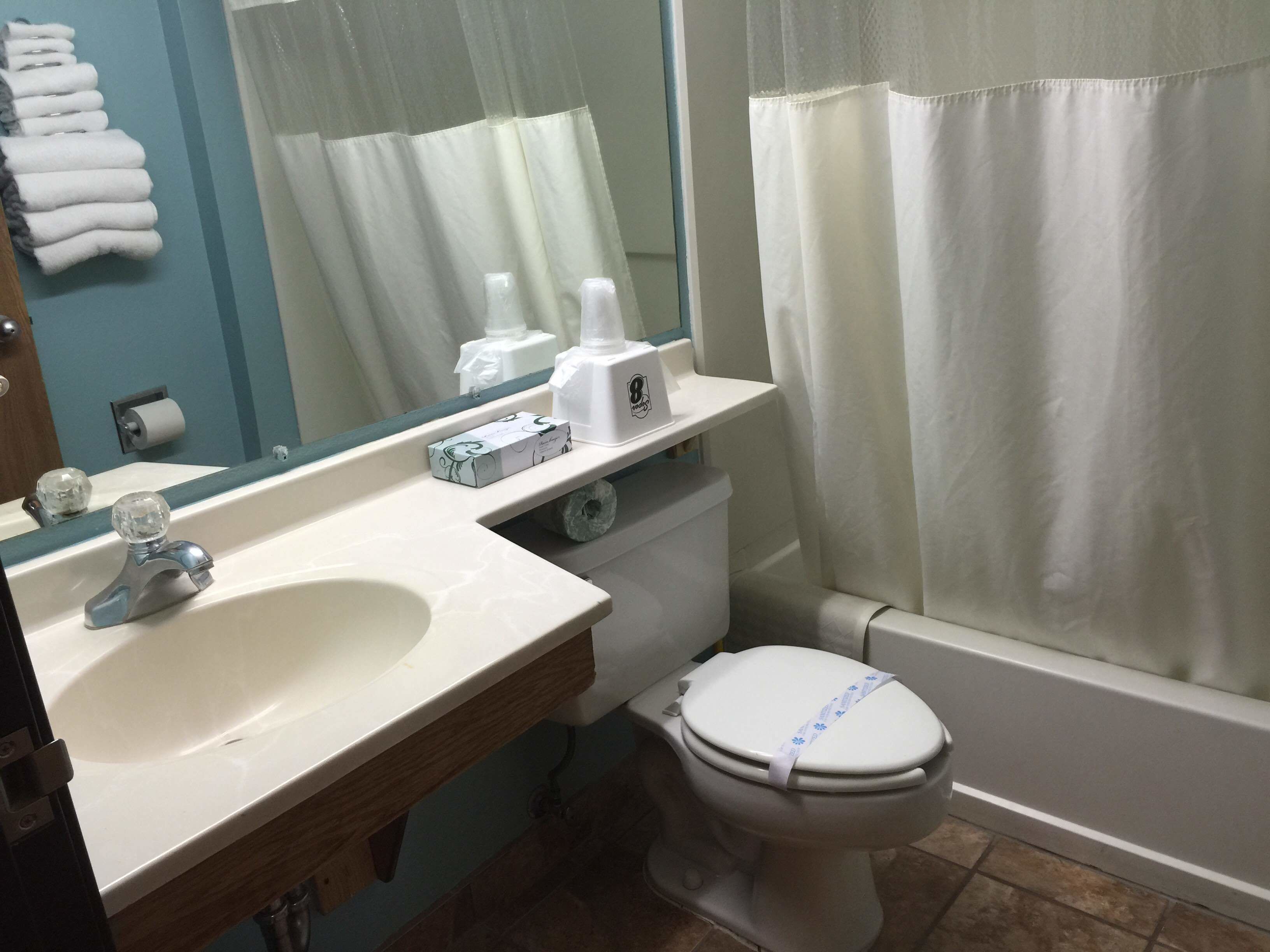 A bathroom with a sink, toilet, and shower curtain.