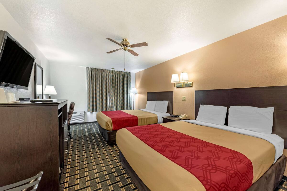 A hotel room with two beds, a desk, a television, a ceiling fan, and a patterned carpet.