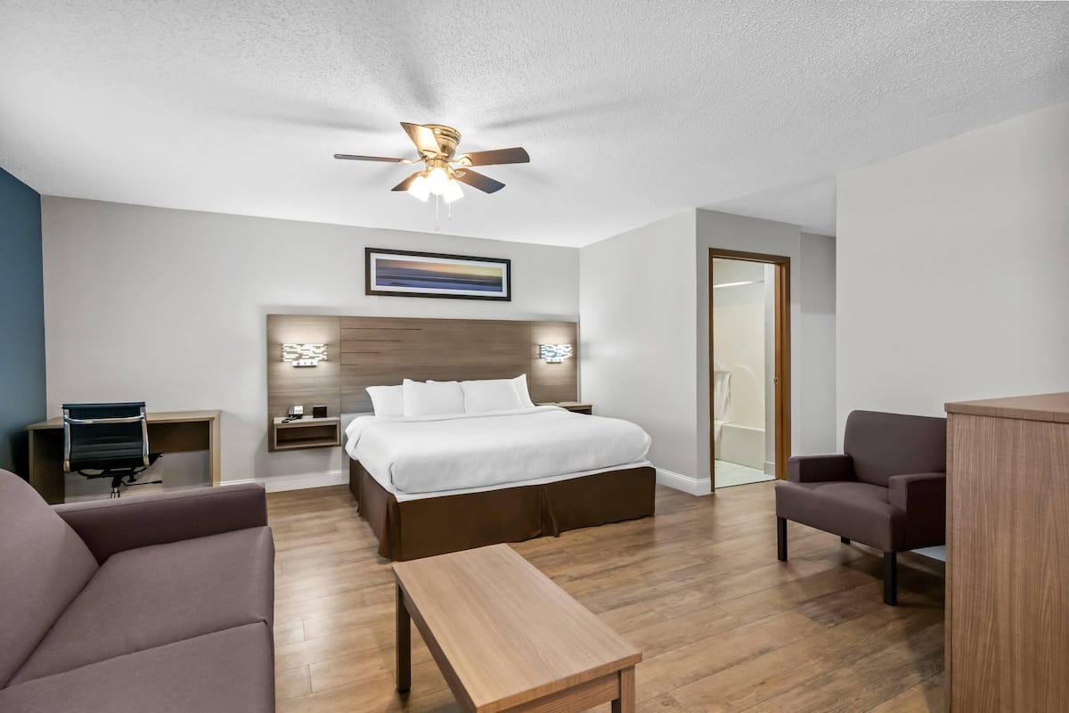 Room, 1 King Bed, Non Smoking (Efficiency)