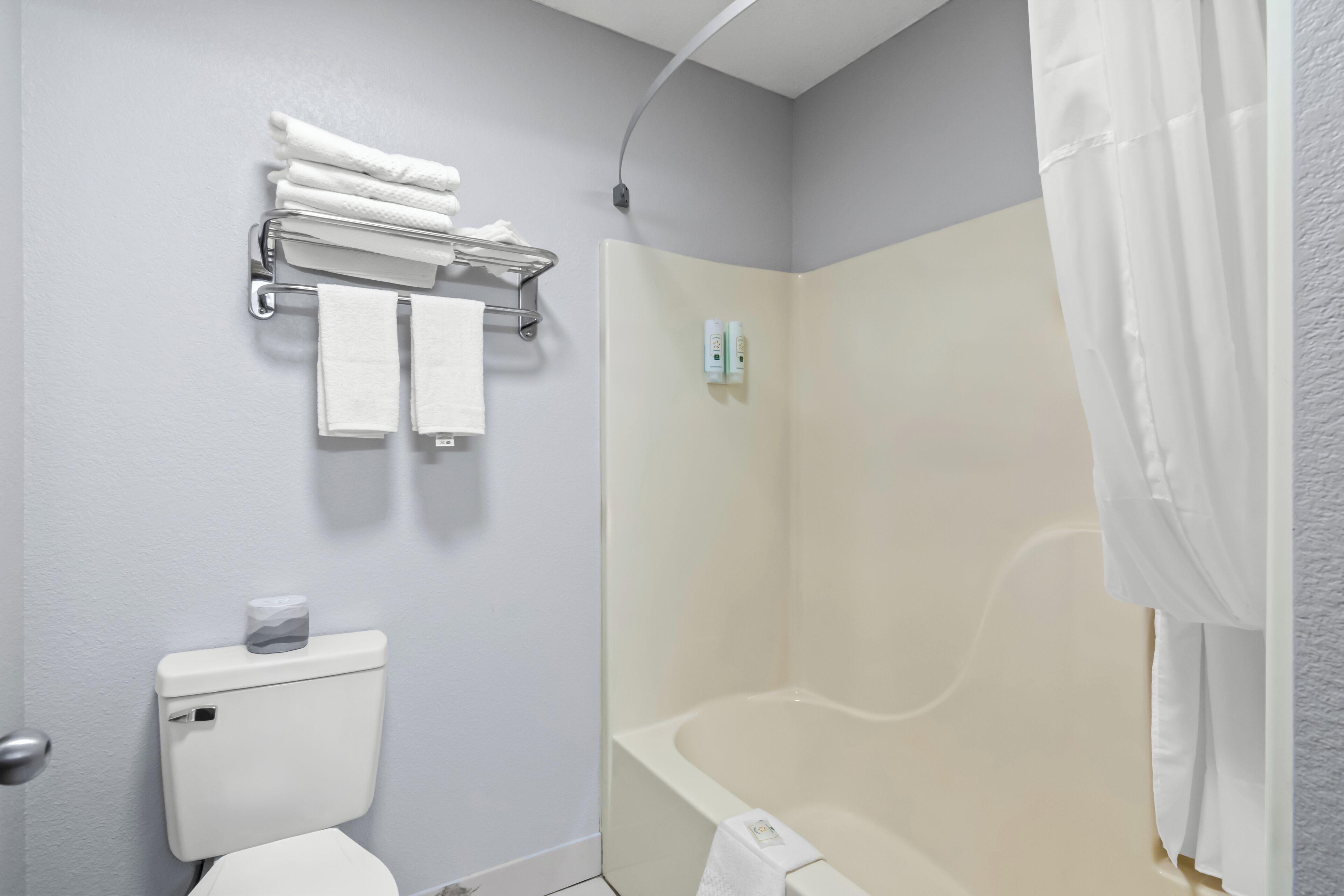 A bathroom with a toilet, a shower, a towel rack, and a toilet paper holder.
