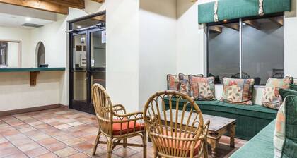 Super 8 by Wyndham Cottonwood