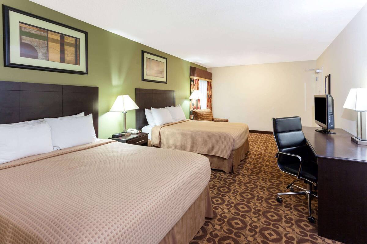 A hotel room with two beds, a desk, a chair, a TV, and a patterned carpet.