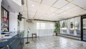 Un vestíbulo amplio con un mostrador de recepción, una planta en maceta y un gran ventanal con cortinas translúcidas.