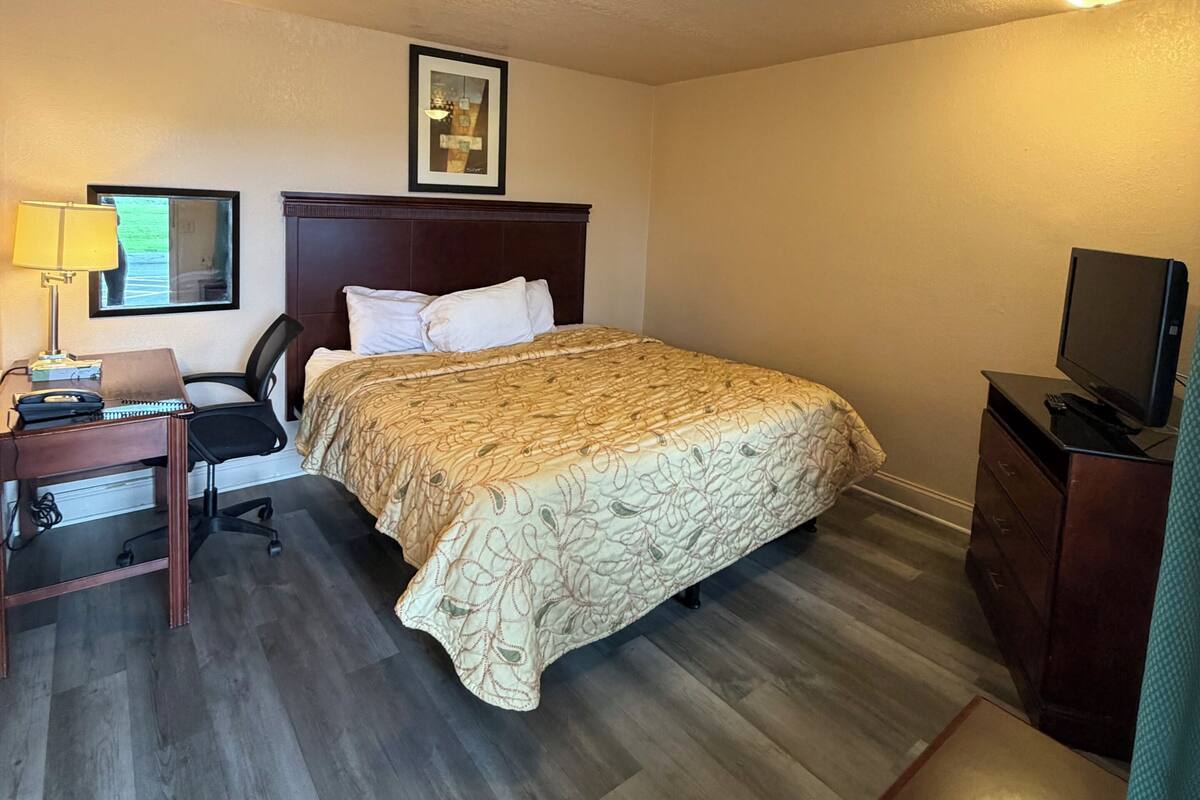 A hotel room with a bed, desk, chair, television, and a framed picture on the wall.