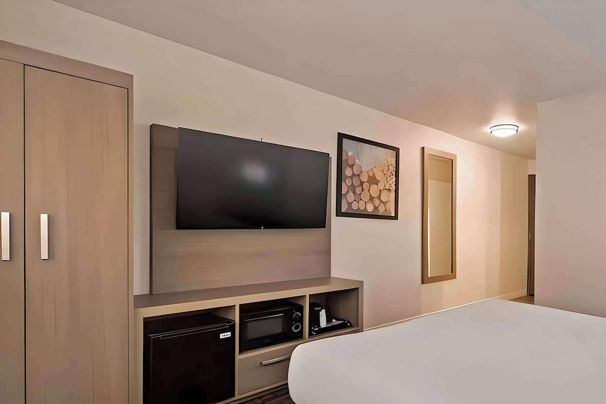 Quarto de hotel com uma cama grande, uma televisão de tela plana na parede, micro-ondas e um pequeno refrigerador.