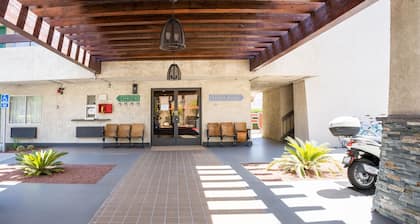 Infusion Beach Club