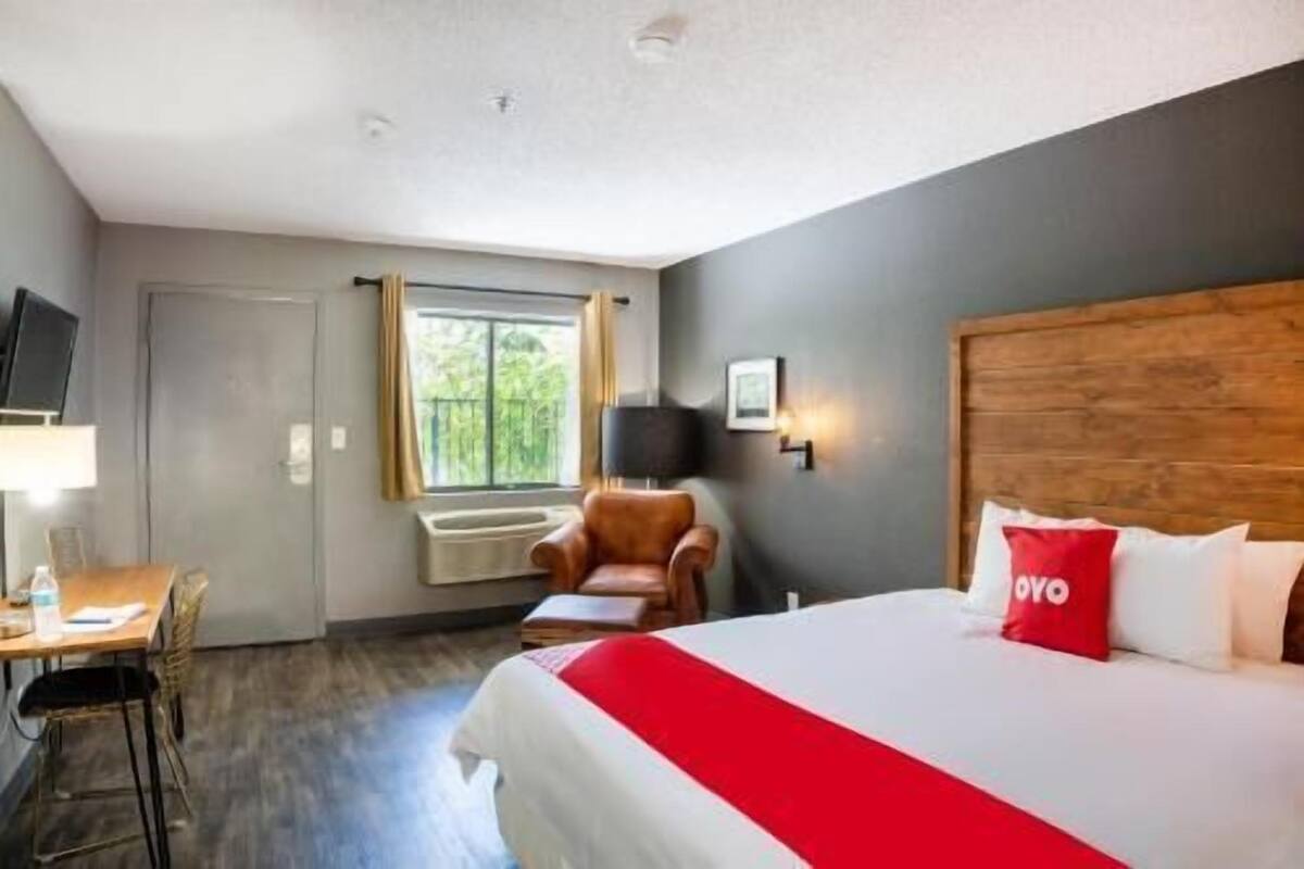 A hotel room with a bed, a desk, a chair, a window, and a television.