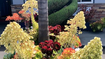 Jardin