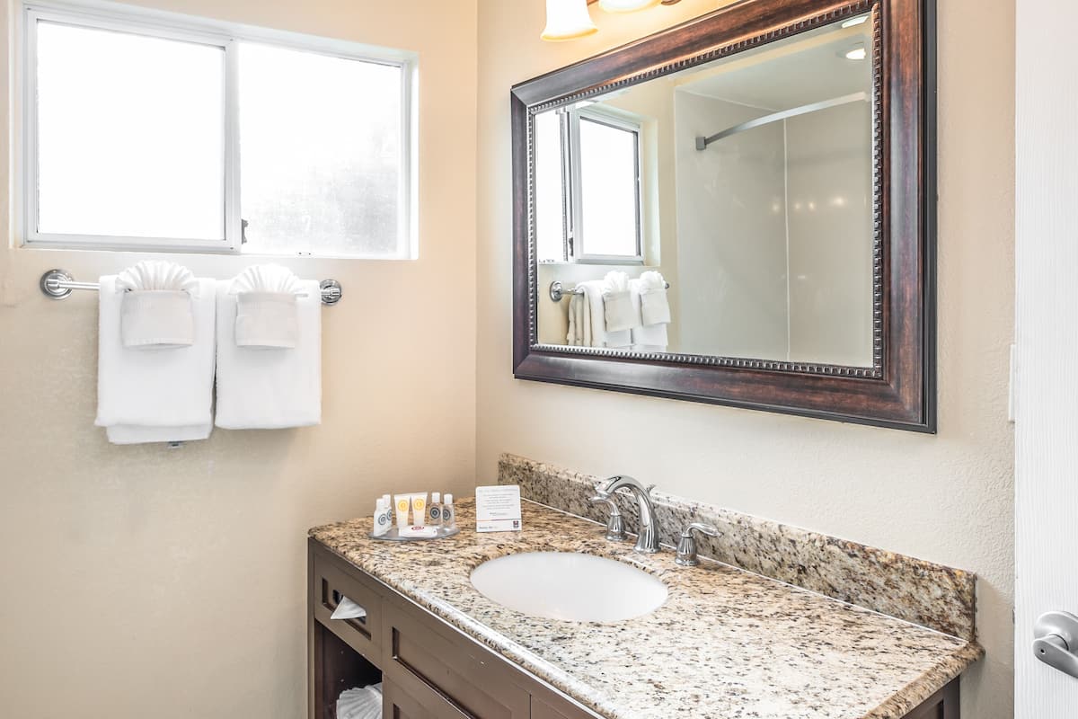 room, 2 queen beds, non smoking | bathroom sink