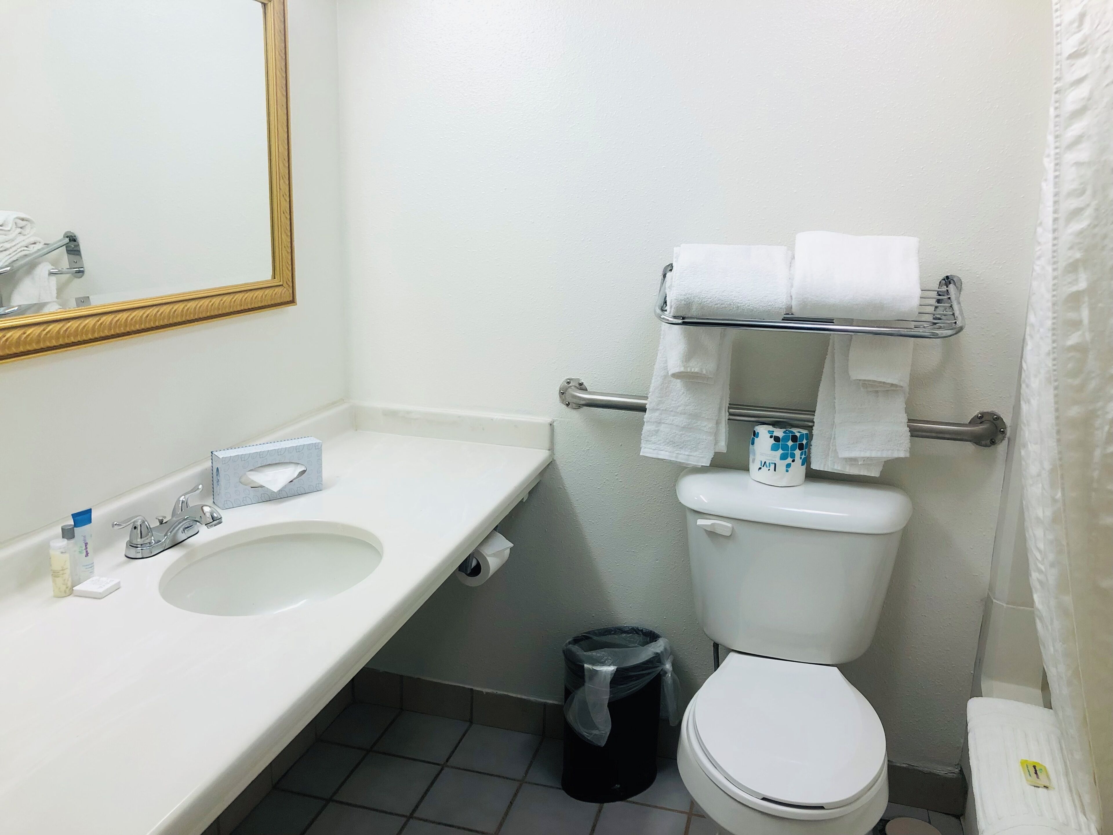 A bathroom with a sink, mirror, toilet, and towel rack.