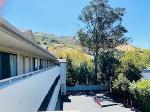 Vista desde la habitación