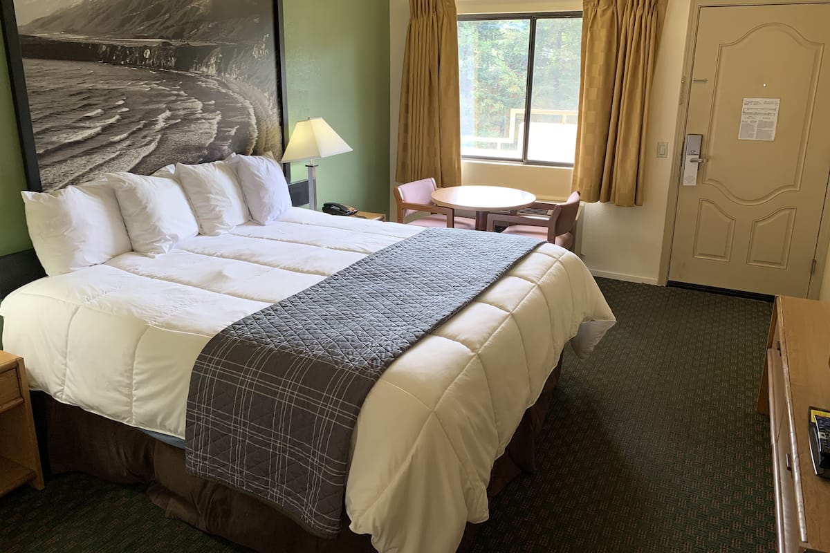 Standard Room, 1 Queen Bed, Accessible, Non Smoking, Mountain View | In-room safe, desk, blackout curtains, iron/ironing board