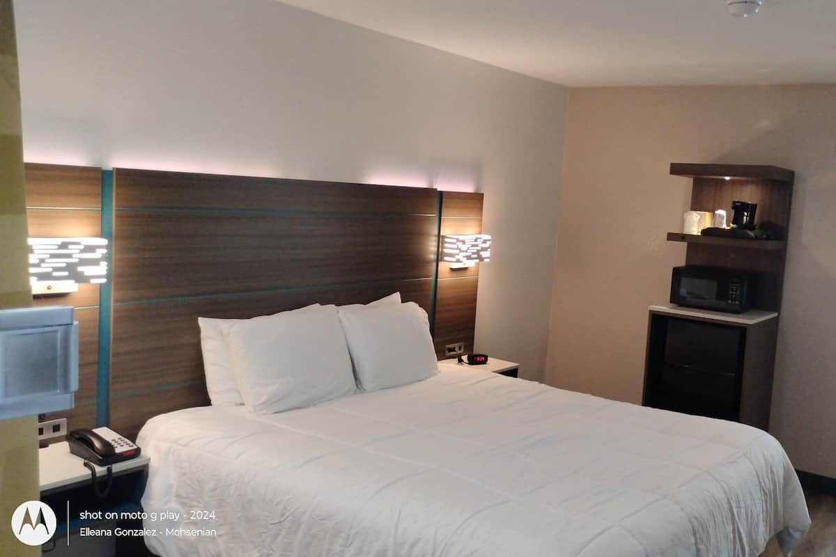 Standard Room, 1 King Bed, Non Smoking, Mountain View