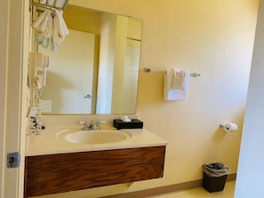 Standard Room, 1 Queen Bed, Accessible, Non Smoking, Mountain View | Fürdőszoba | Zuhanyzó/kád kombinációja, hajszárító, törölközők és szappan